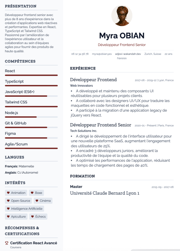 Modèle de CV Professionnel